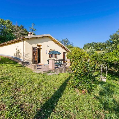 Holiday Home Grilli By Interhome Scansano Bagian luar foto